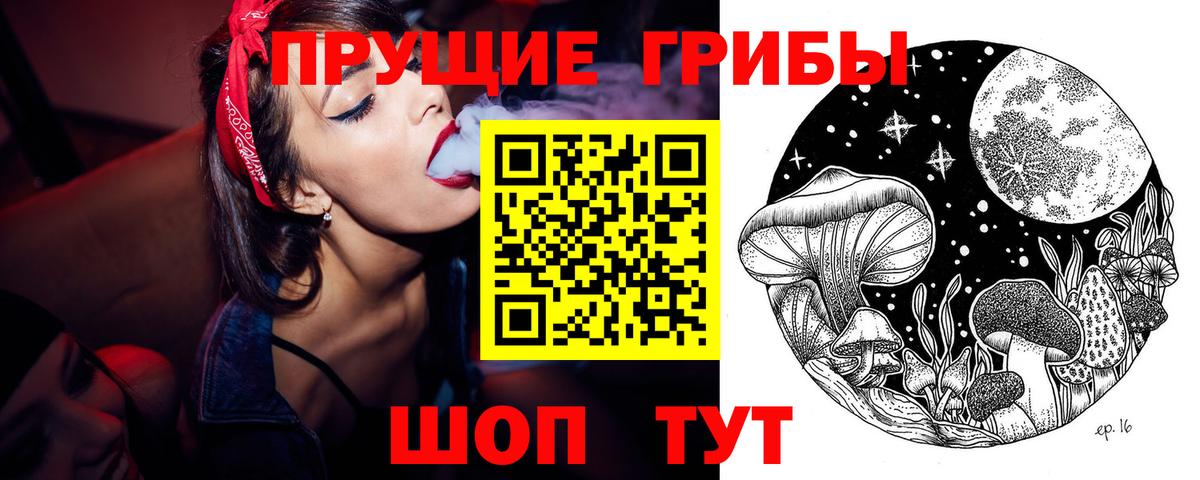 Галлюциногенные грибы Cubensis Ипатово