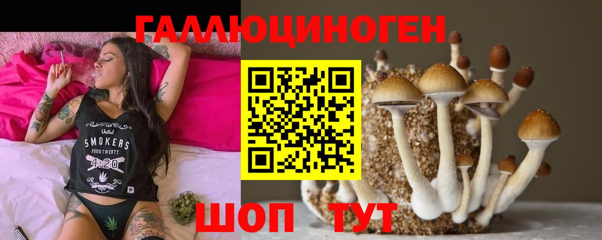 Галлюциногенные грибы Psilocybe  Вход с VPN  Ипатово 